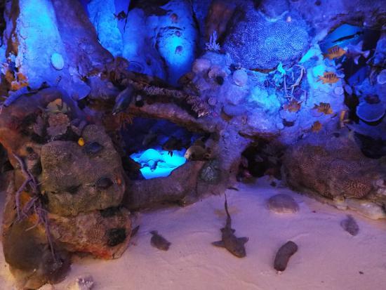 Museo de la Isla de Cozumel